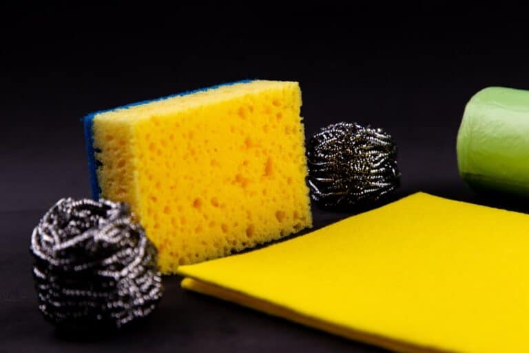 biodegradable cleaning sponge