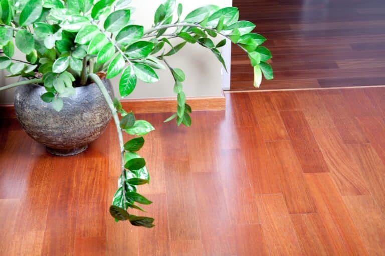 biodegradable floor cleaner