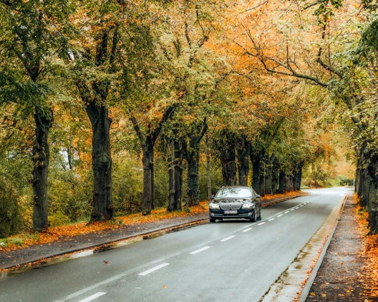 eco driving tips daily
