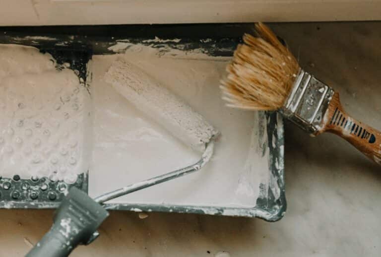 eco friendly paint options