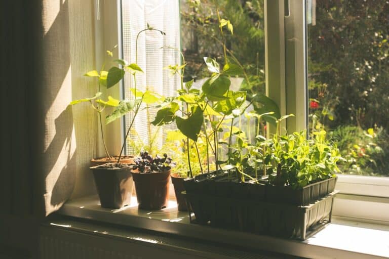 reducing greenhouse gas emissions at home