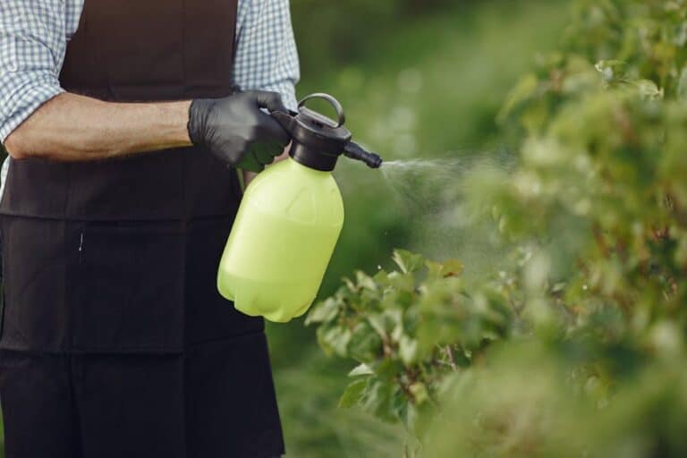 natural insect repellent sprays