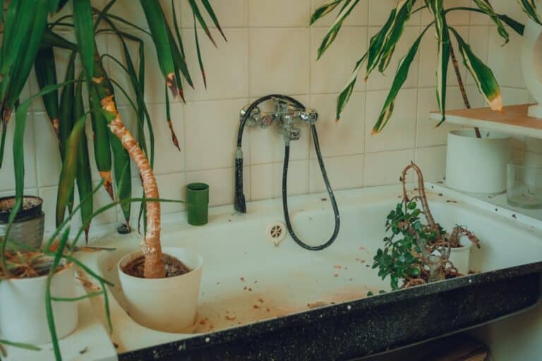 plant based bathroom cleaner
