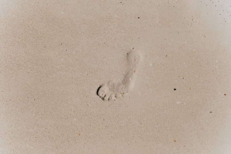 lower your footprint