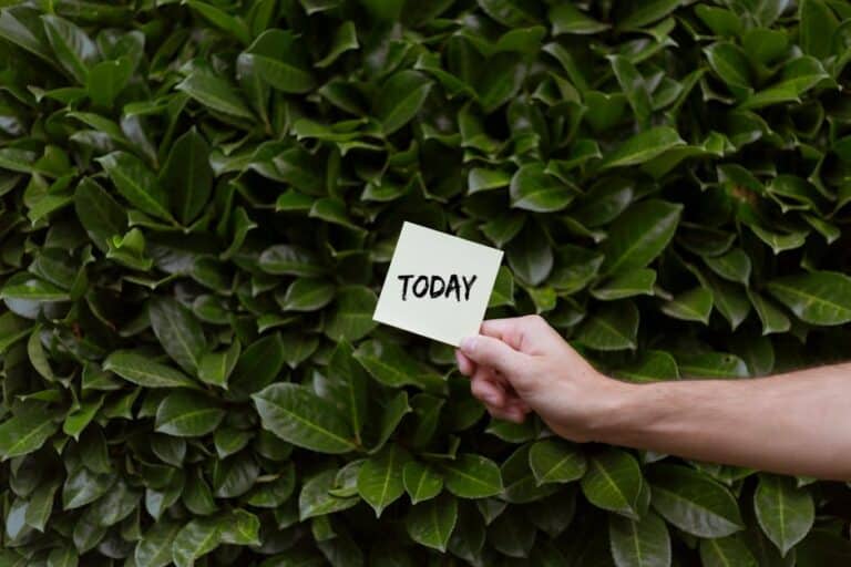 today's green living tips
