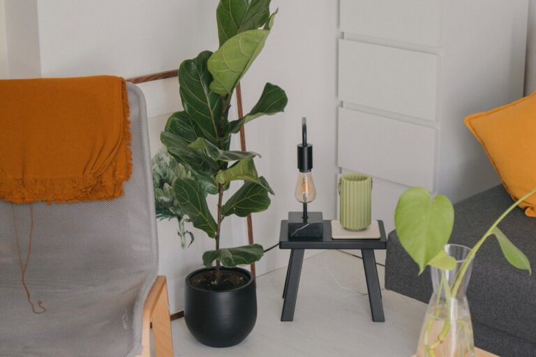 eco-friendly products for home