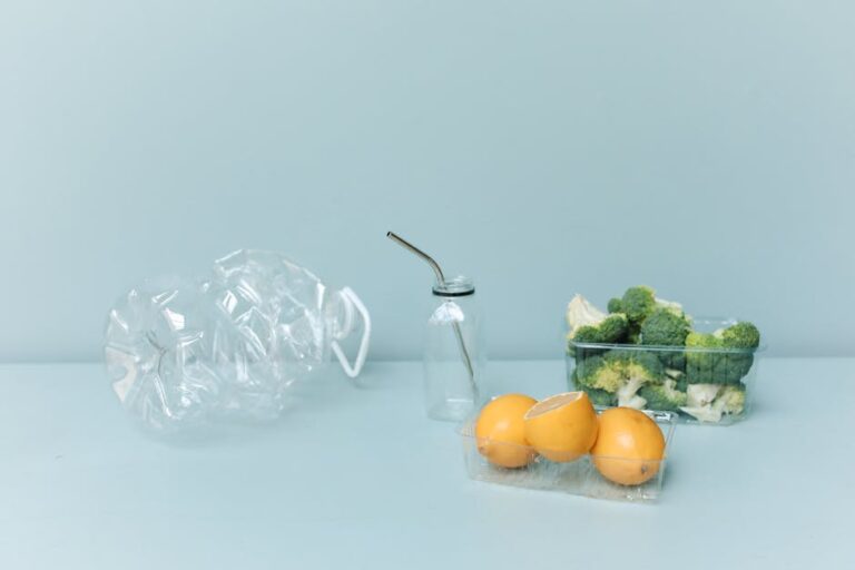 zero waste challenge